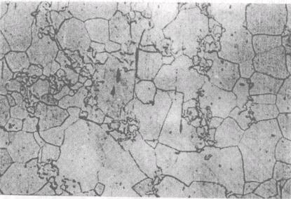 圖10.176失效護欄經(jīng)硝酸酒精溶液腐蝕后的組織120 x