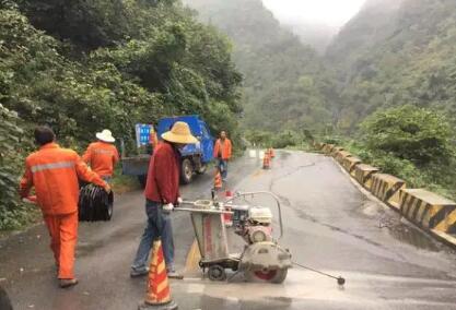 S206路面病害處治